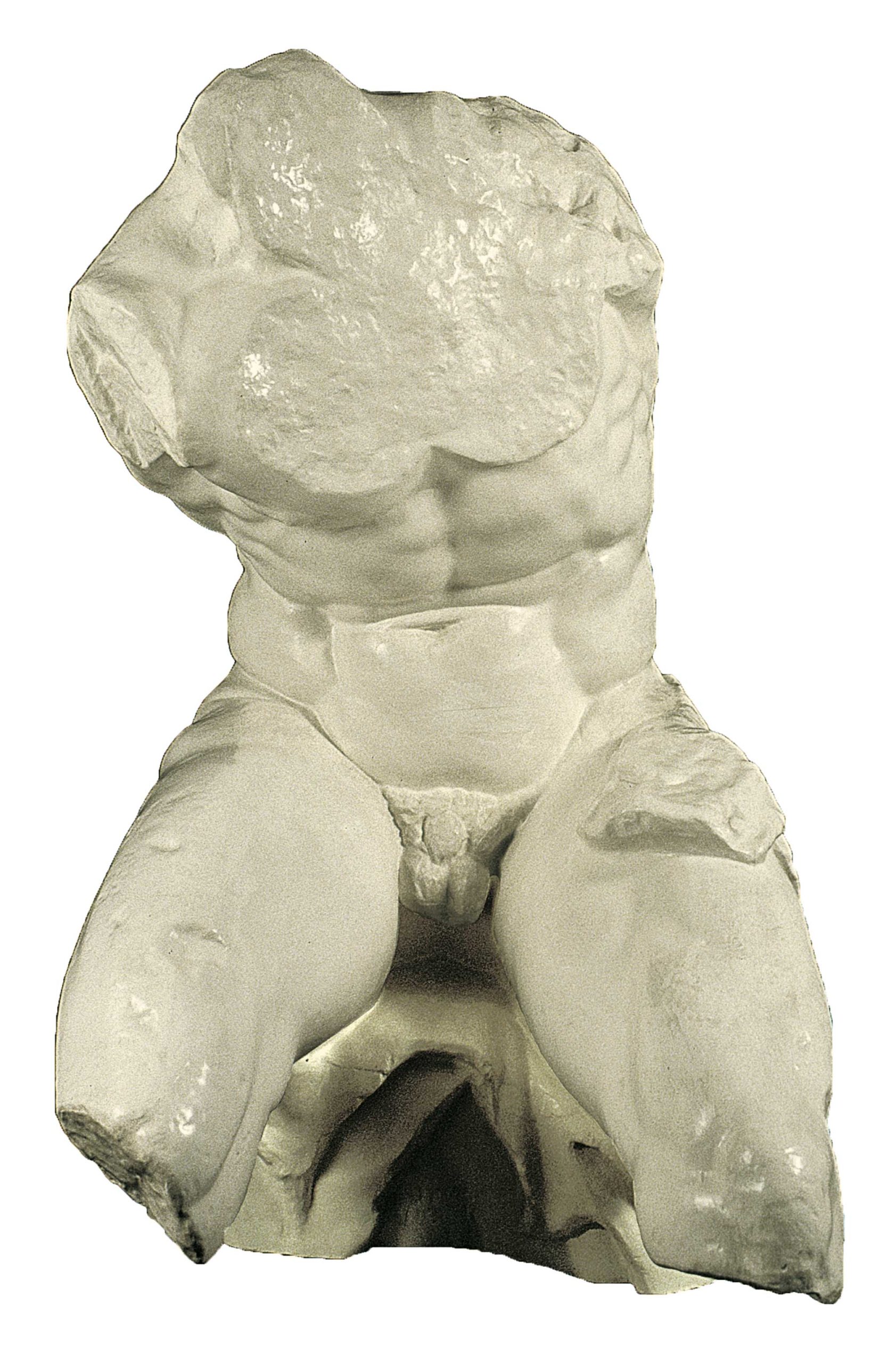 Torso del belvedere (copia in gesso)